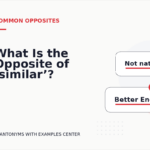 What Is the Opposite of ‘similar’?