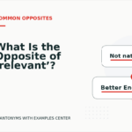 What Is the Opposite of ‘relevant’?