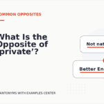 What Is the Opposite of ‘private’?